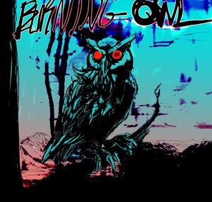 Burning Owl Records