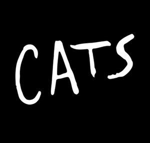 Cats The Musical