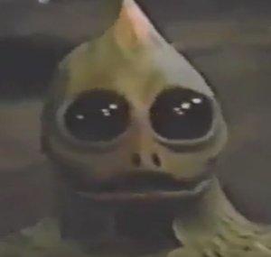 Jeck