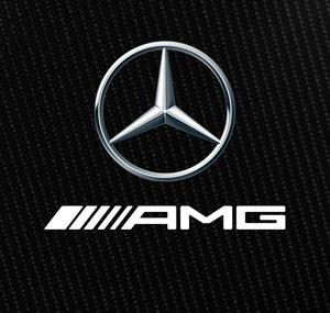 Mercedes-AMG Petronas Formula One Team