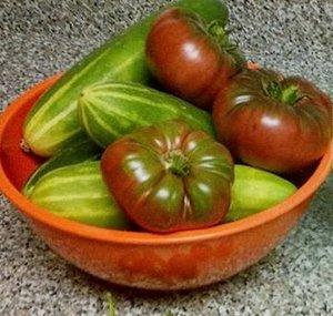 MrChipGardener