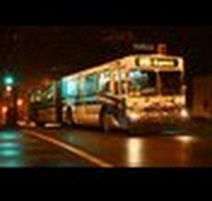 newflyer3000