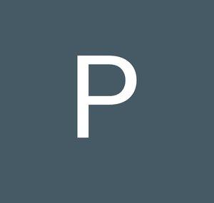 Perplexity33