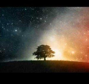 TheTranceParadise