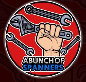 A Bunch of Spanners