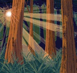 Dana Schmoyer