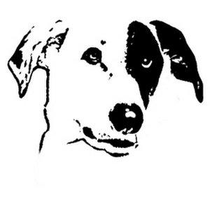 Panda Dog Music