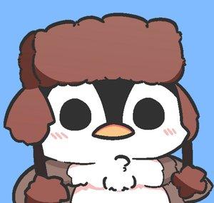 qzeq