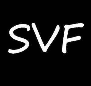 SenderVolksFernsehn