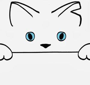 Spiggitz The Cat