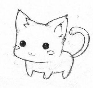 Curlifox3