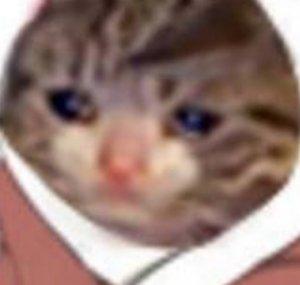 Fuuta