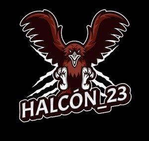 Halcón_23