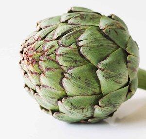 King Artichoke XII