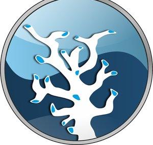 Meerwasser Aquaristik Kanal
