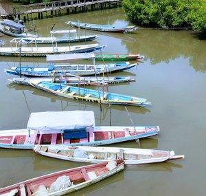 Nice Gambia