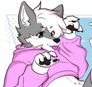 ProfessorFox 