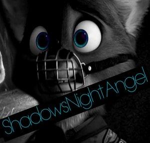 ShadowsNightAngel