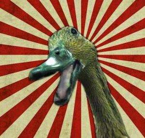 Skeeter The Duck