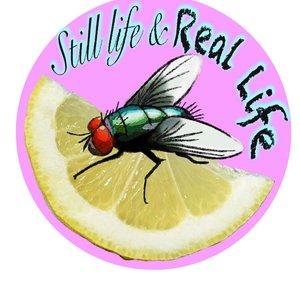 Still Life And Real Life