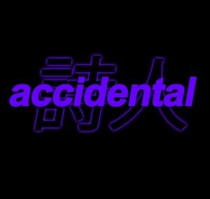 the_accidental_poet