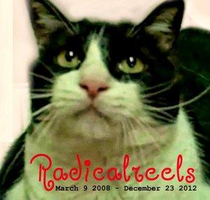 TheRadicalreels