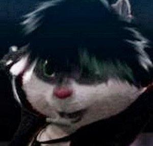 AaronAndTheRaccoonz