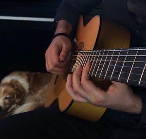 AcousticTrench
