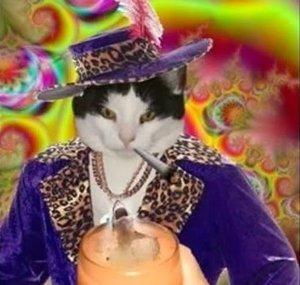 BeastQT Gaming Channel