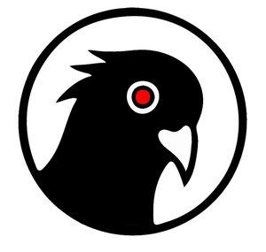 Black Pigeon Speaks