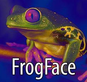 FrogFace