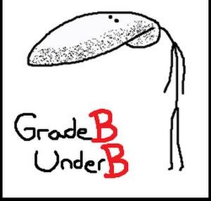 GradeBUnderB
