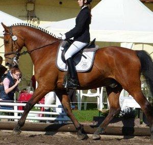 LissyArry97
