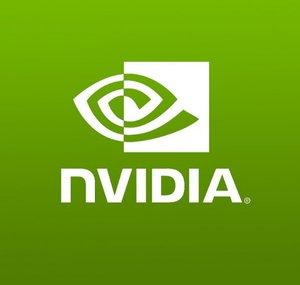 NVIDIA Game Developer