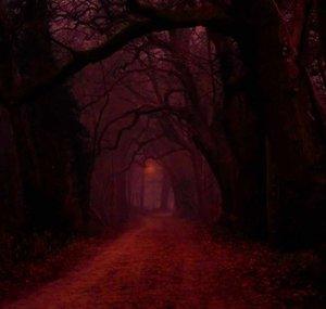 A Dark Path