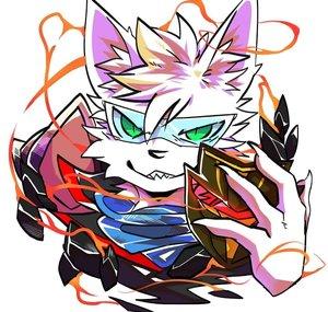 AnJet Cat