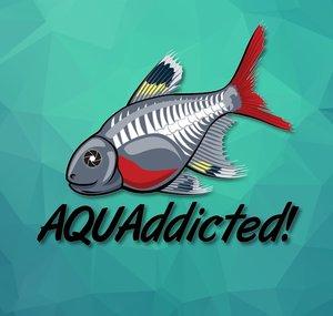 AQUAddicted!