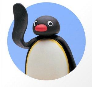 Arctic Bird