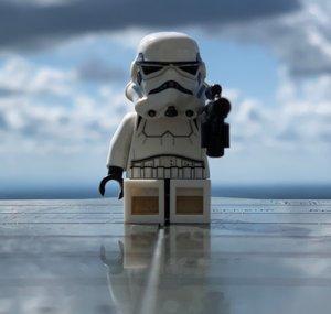 brickfreund