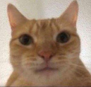 Chumpy