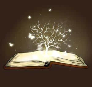Le grimoire aux histoires
