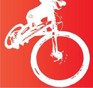 Loco Gravity