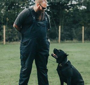 Will Atherton Cane Corso Show