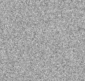 wнıтᴇNOISE