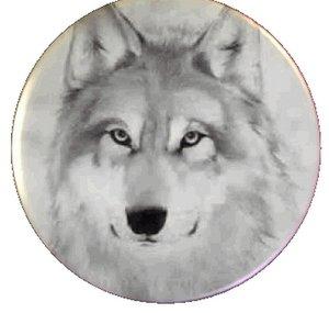 WolfTr4nce2