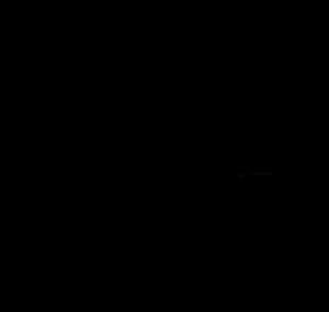 XXXXXXXXXXX