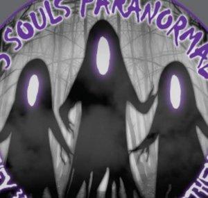 3 Souls Paranormal