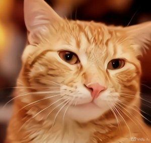 Ai Cat Bombastic 