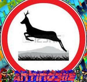 antino3112