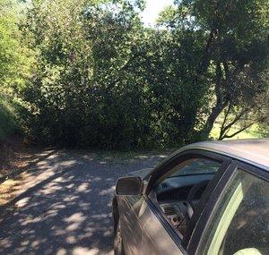Bad Drivers Of The NorCal Area